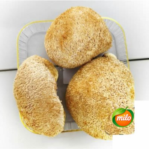 Monkey Head Mushroom 200G Pack 1