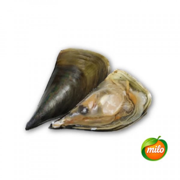 1kg of green scallops