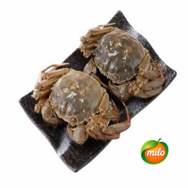 Each hairy crab weighs 3.5 taels