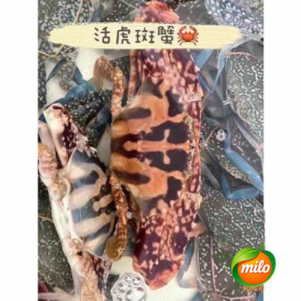 1kg of tiger-striped crab