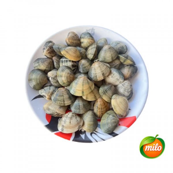 1kg of clams