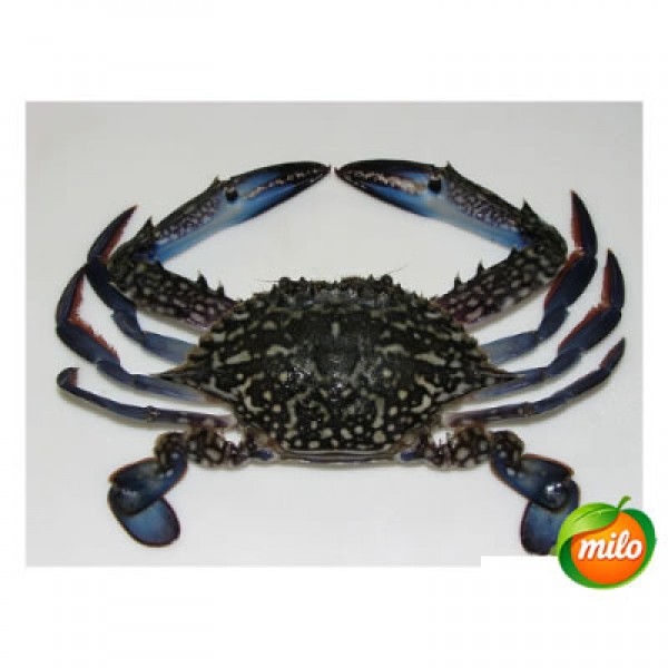 1kg of flower crab