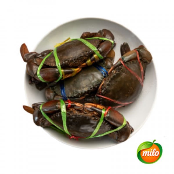 1kg of roe crab