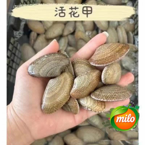 1 kilogram of clams