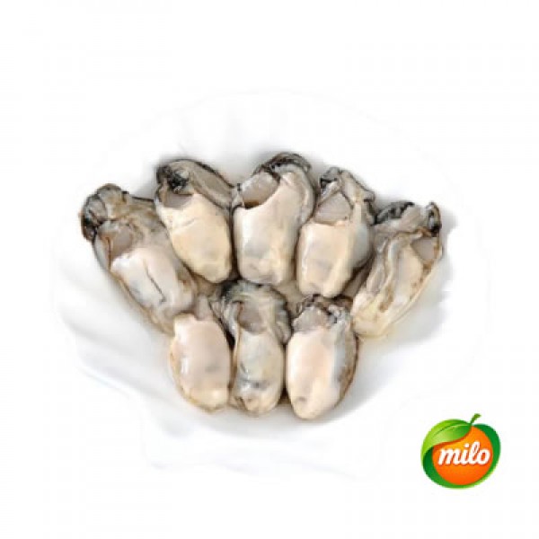 One packet of oyster meat