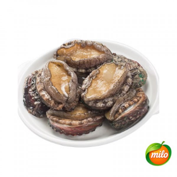 Extra-large live abalone, 1kg
