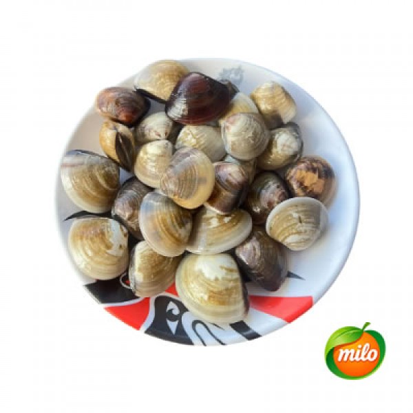 1kg of sea white