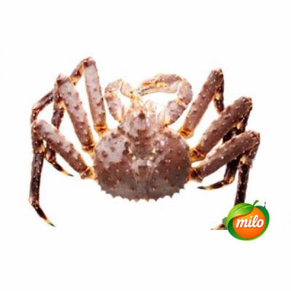 Norwegian king crab 1kg