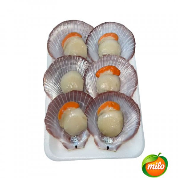 1 box of chilled scallops, 160g