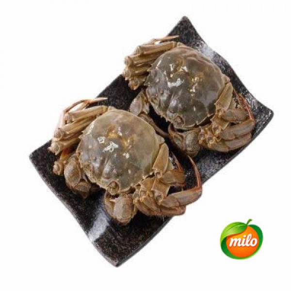 Each male hairy crab weighs 4 ounces
