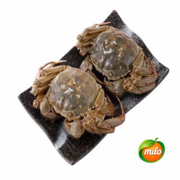 4 ounces of female hairy crabs, 1 crab