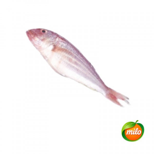 1kg of Jinling fish
