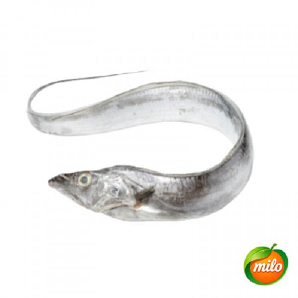 1kg of cuttlefish
