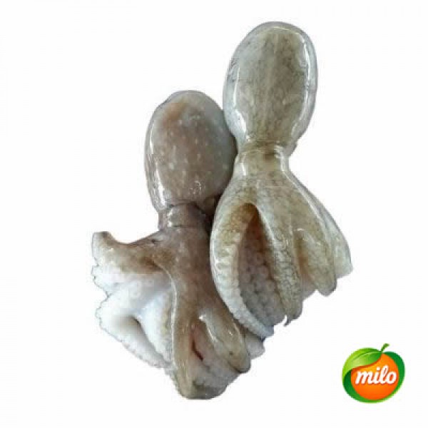 1kg of chilled fresh octopus