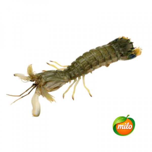 Extra-large prawns, 1kg