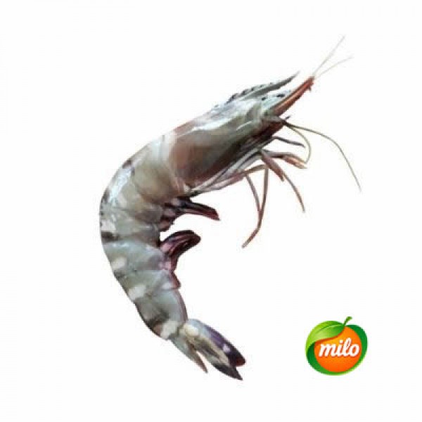 Small 1kg of chilled wild nine-section shrimp