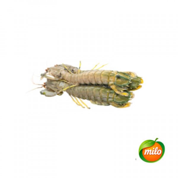 1kg of small-sized prawns
