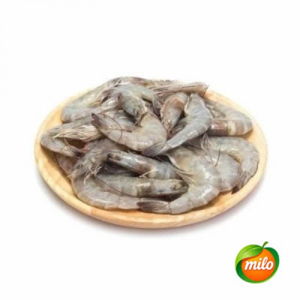 1kg of chilled sand shrimp