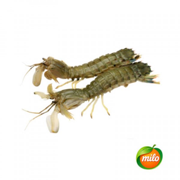 1kg of medium-sized prawns