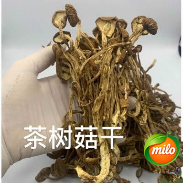Dried tea tree mushrooms 200g
