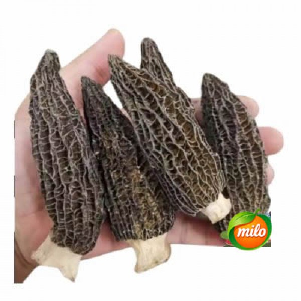 1kg of large-sized morel mushrooms