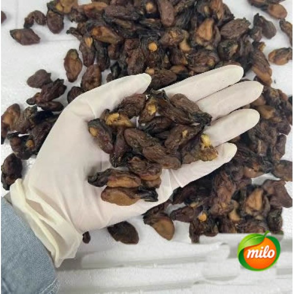 1kg of small-sized dried oysters from China CN