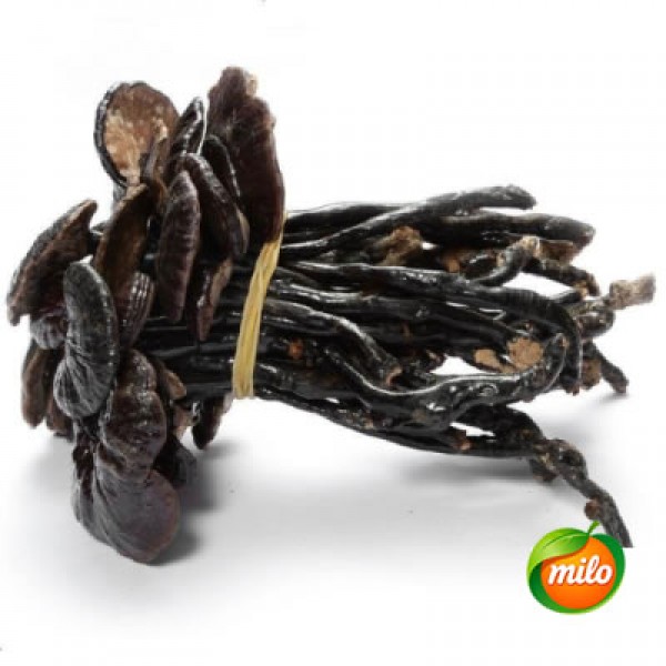 100g of wild bamboo forest pruned Ganoderma lucidum