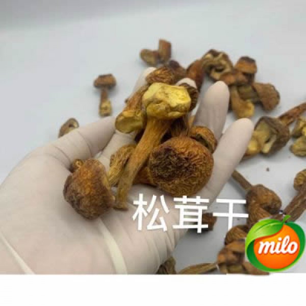 Dried Matsutake mushrooms 150g1 pack