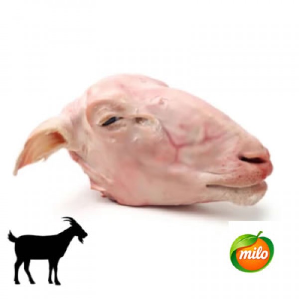 Goat head