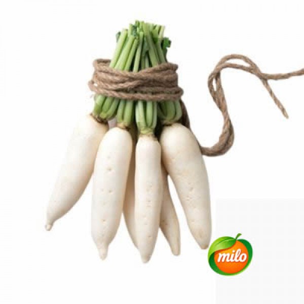 white radish 