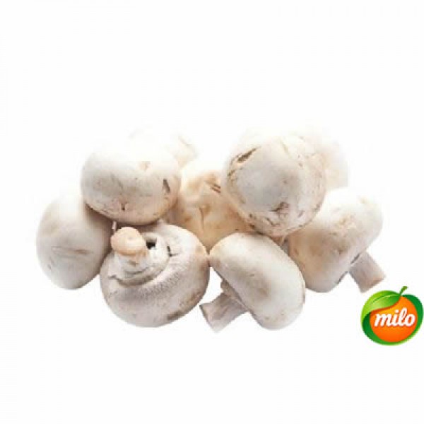 White mushroom