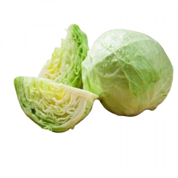 Cabbage