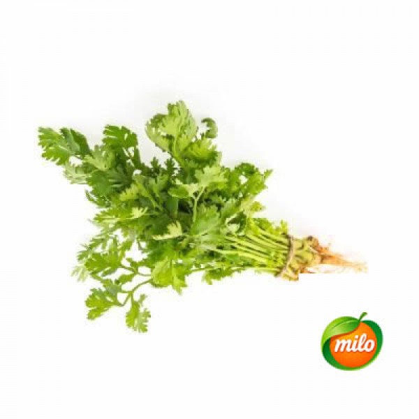 Local coriander