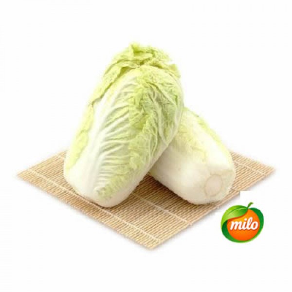 Chinese cabbage