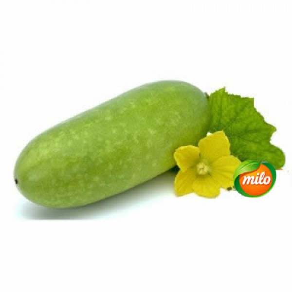 Winter melon