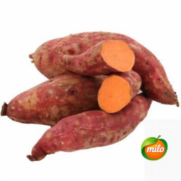 Sweet potato 