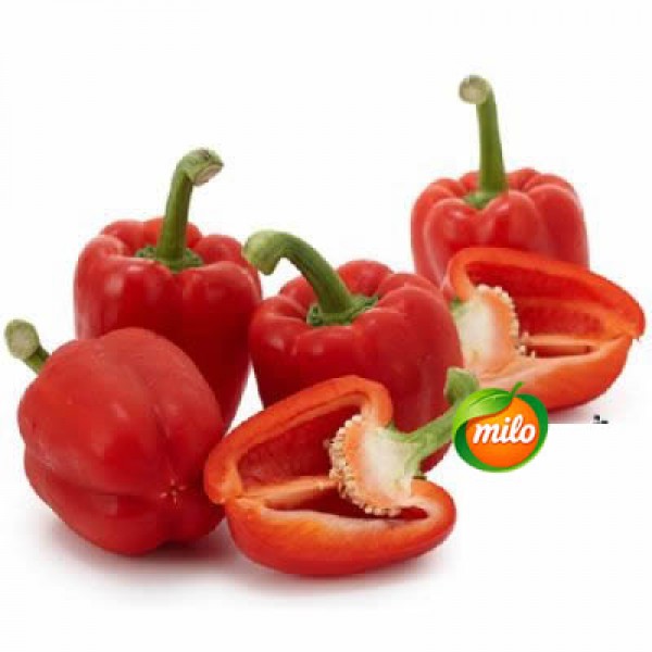 Red round pepper