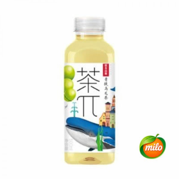 One bottle of tea π green leaf Oolong tea