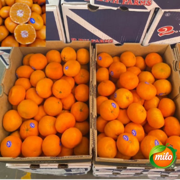 Australian seedless tangerines 8kg in 1 box