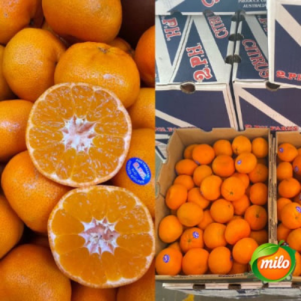 Half a box of seedless mandarins from Australia