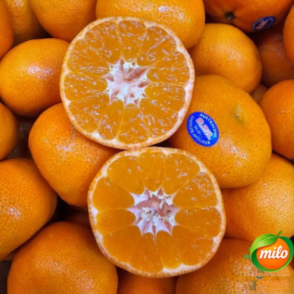 1kg of seedless mandarin oranges from Australia