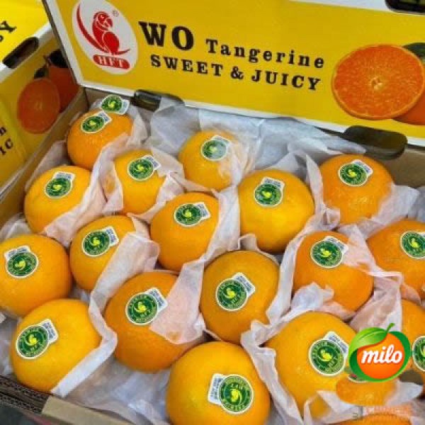 Half a box of extra-large mandarin oranges from Taiwan