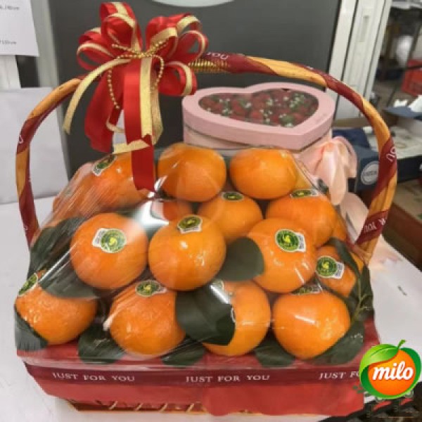A basket of mandarin oranges