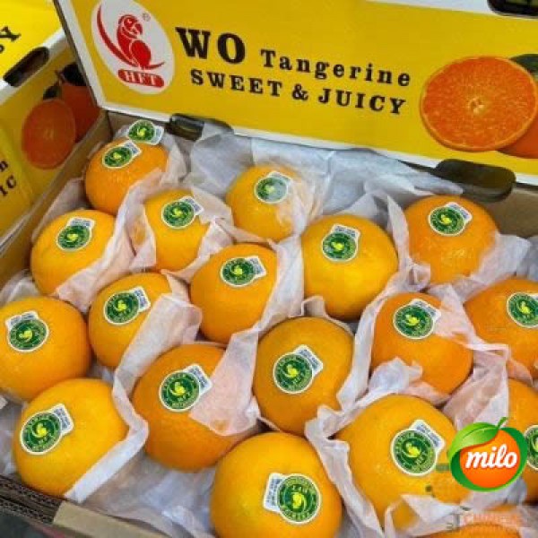A box of extra-large mandarin oranges from Taiwan weighs 6 kilograms