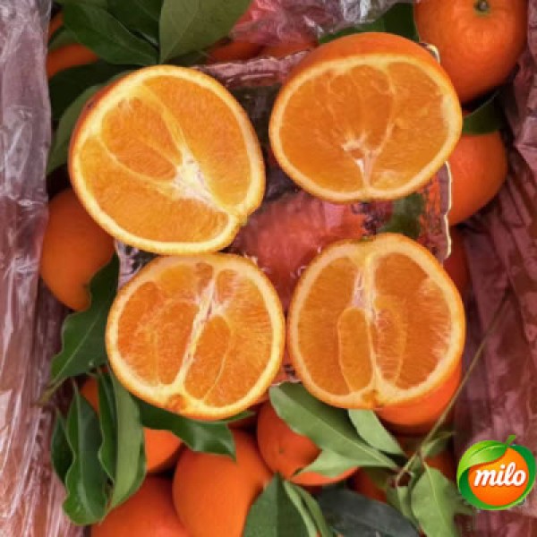 Half a box of 5kg Chinese honey oranges