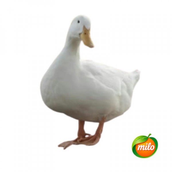 Beijing duck 1kg