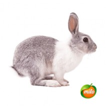 Rabbit 1kg