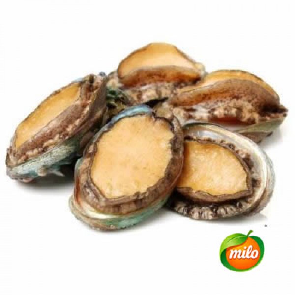 1kg of frozen abalone
